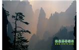 張家界國(guó)家森林公園、寶峰湖/黃龍洞、鳳凰古城、三峽八日游