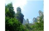 【純玩拼團線路 張家界出發(fā)A2線】張家界、袁家界、天子山、金鞭溪、鳳凰古城2晚3日游
